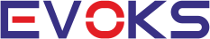 EVOKS - technical services
